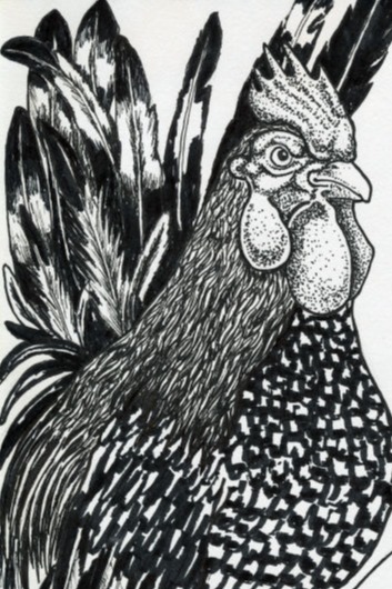 AYAM DRAWINGS